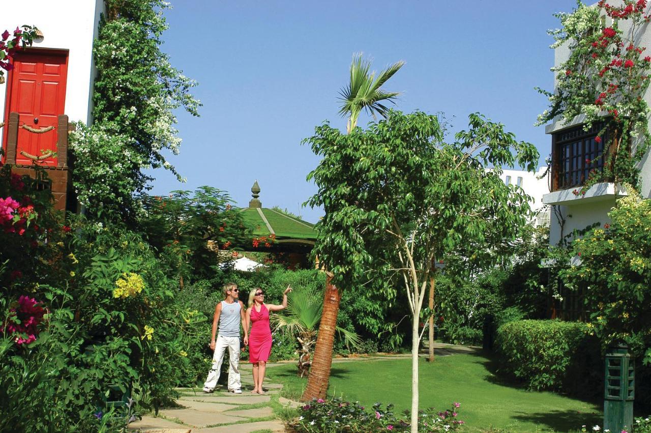 Delta Sharm Resort ,Official Web, Delta Rent, Sharm El Sheikh, South Sinai, Egypt Exteriör bild
