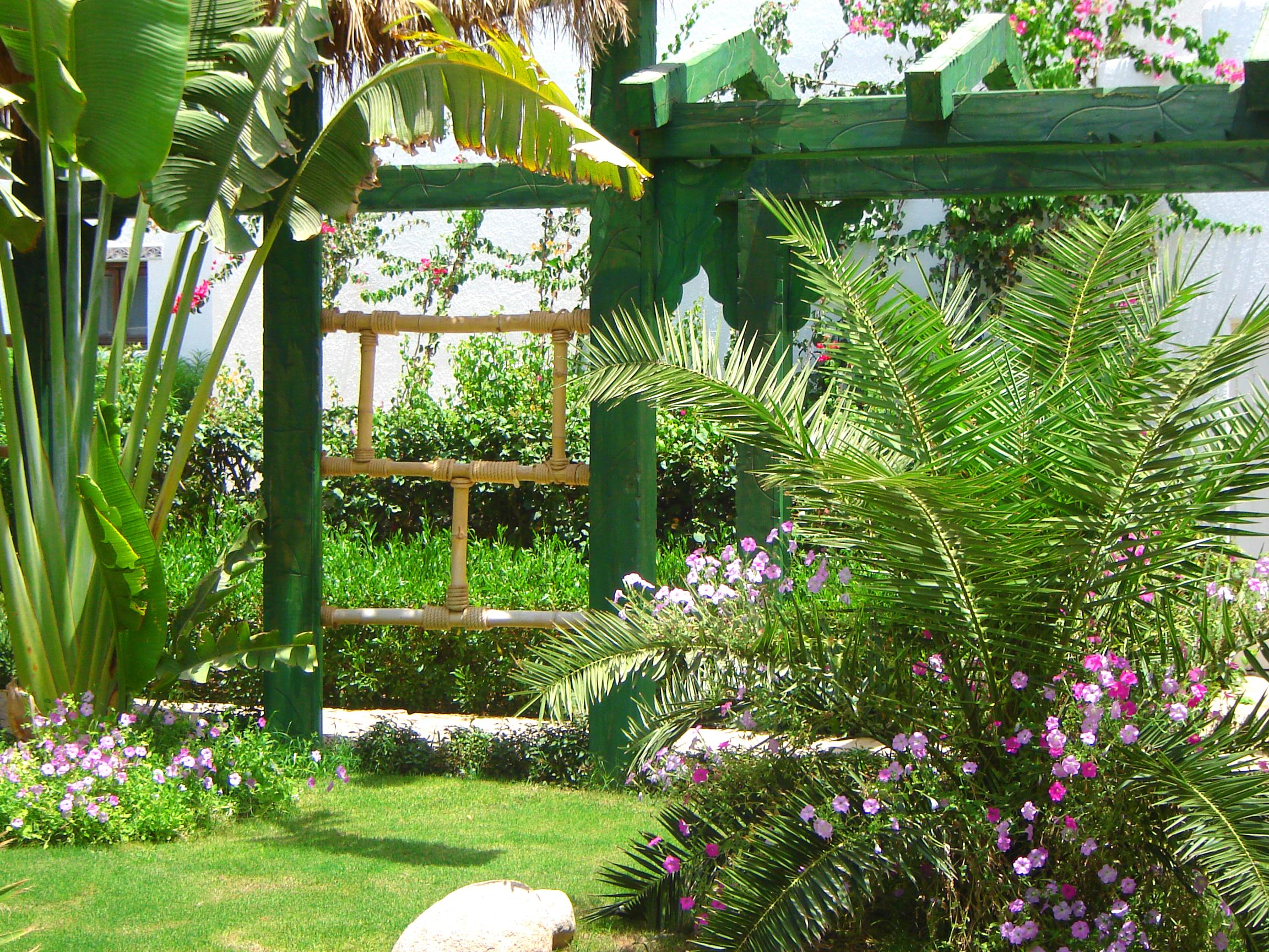 Delta Sharm Resort ,Official Web, Delta Rent, Sharm El Sheikh, South Sinai, Egypt Exteriör bild